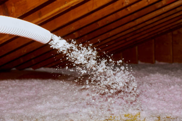 Types of Insulation We Offer in Bolivar, WV
