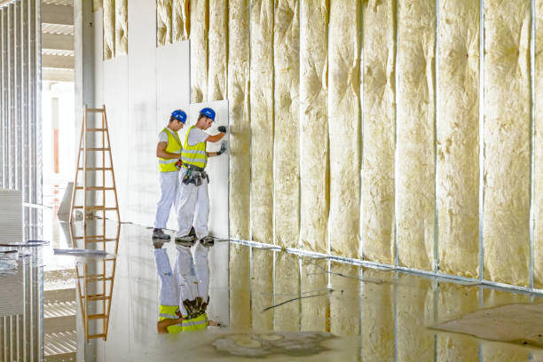 Best Commercial Insulation in Bolivar, WV